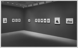 Installation photo, 9 of 12