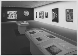 Installation photo, 4 of 5
