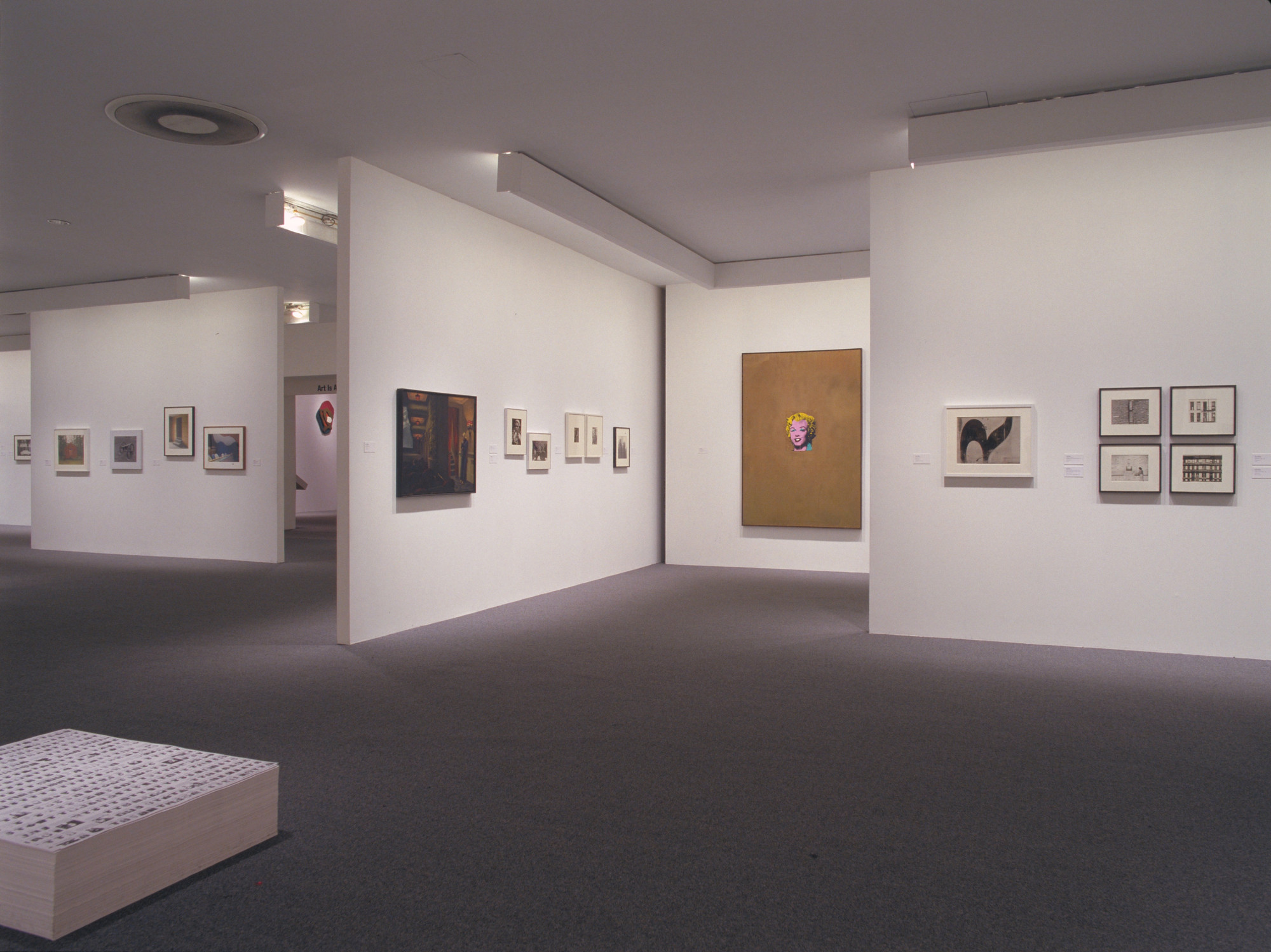Installation view of the exhibition "Walker Evans & Company," in the