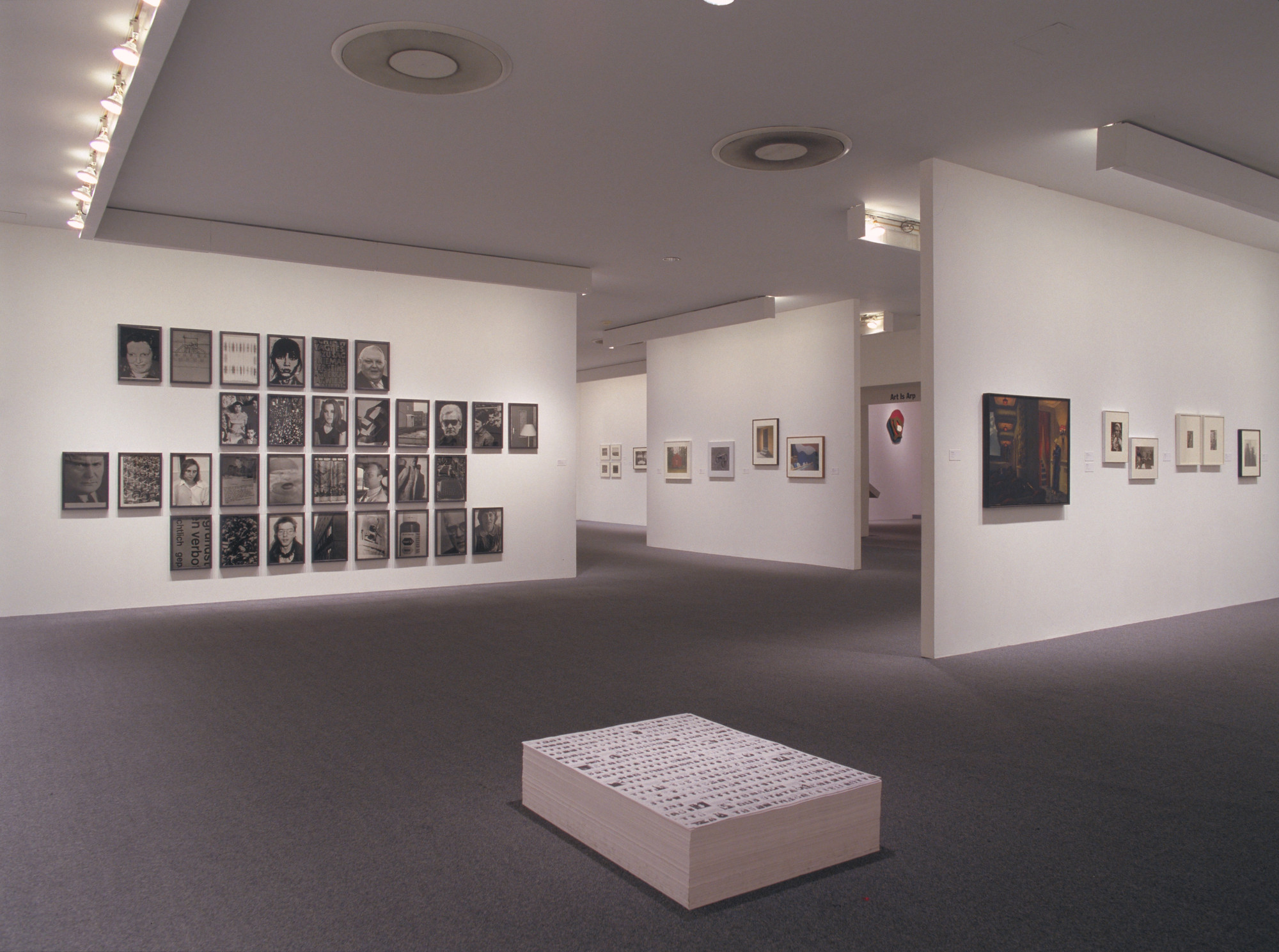 Installation view of the exhibition "Walker Evans & Company," in the