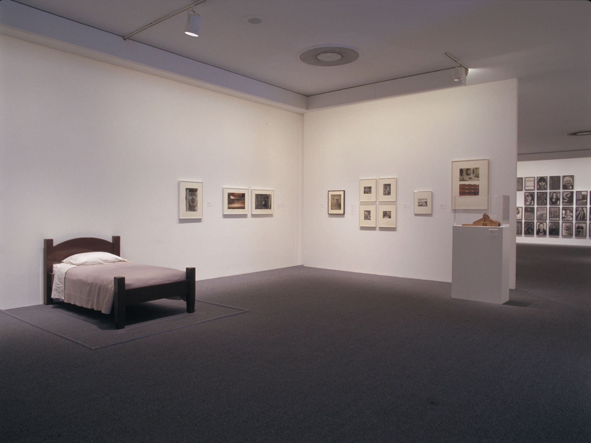 Installation view of the exhibition "Walker Evans & Company," in the