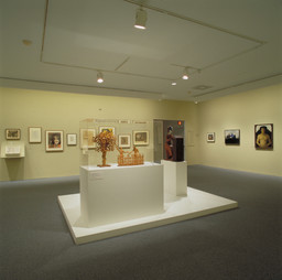 Installation photo, 183 of 286