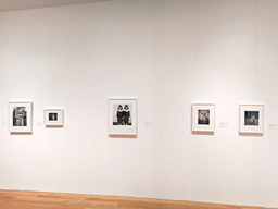 Installation photo, 136 of 368