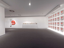 Installation photo, 175 of 368