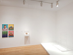 Installation photo, 3 of 368
