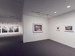 Installation photo, 39 of 368