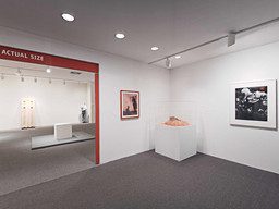Installation photo, 50 of 368