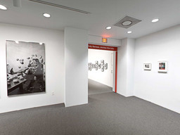 Installation photo, 62 of 368