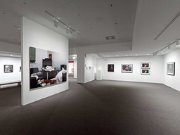 Installation photo, 68 of 368