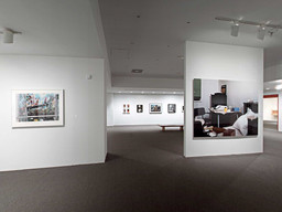 Installation photo, 71 of 368