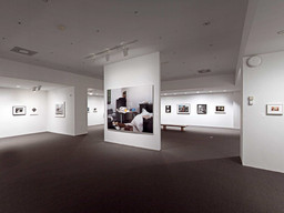 Installation photo, 83 of 368