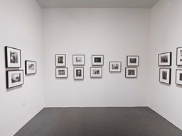 Installation photo, 92 of 368
