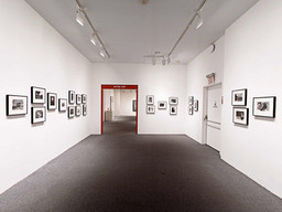 Installation photo, 101 of 368