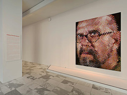 Installation photo, 156 of 368