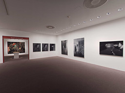 Installation photo, 200 of 368