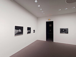 Installation photo, 202 of 368