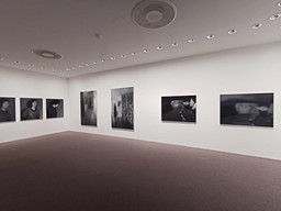 Installation photo, 206 of 368