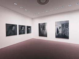 Installation photo, 208 of 368
