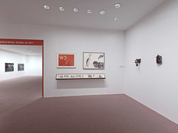Installation photo, 220 of 368