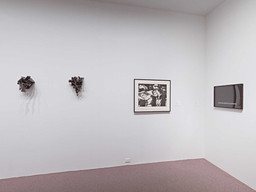Installation photo, 222 of 368