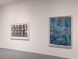 Installation photo, 140 of 368
