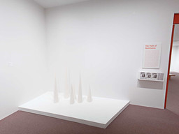 Installation photo, 230 of 368