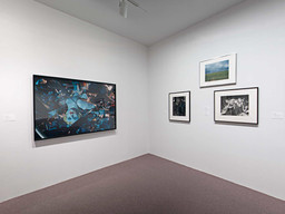 Installation photo, 234 of 368