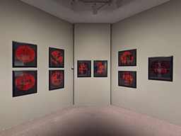 Installation photo, 250 of 368