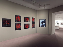 Installation photo, 252 of 368