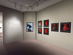 Installation photo, 254 of 368