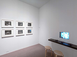 Installation photo, 268 of 368
