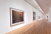 Andreas Gursky. Mar 4–May 15, 2001.