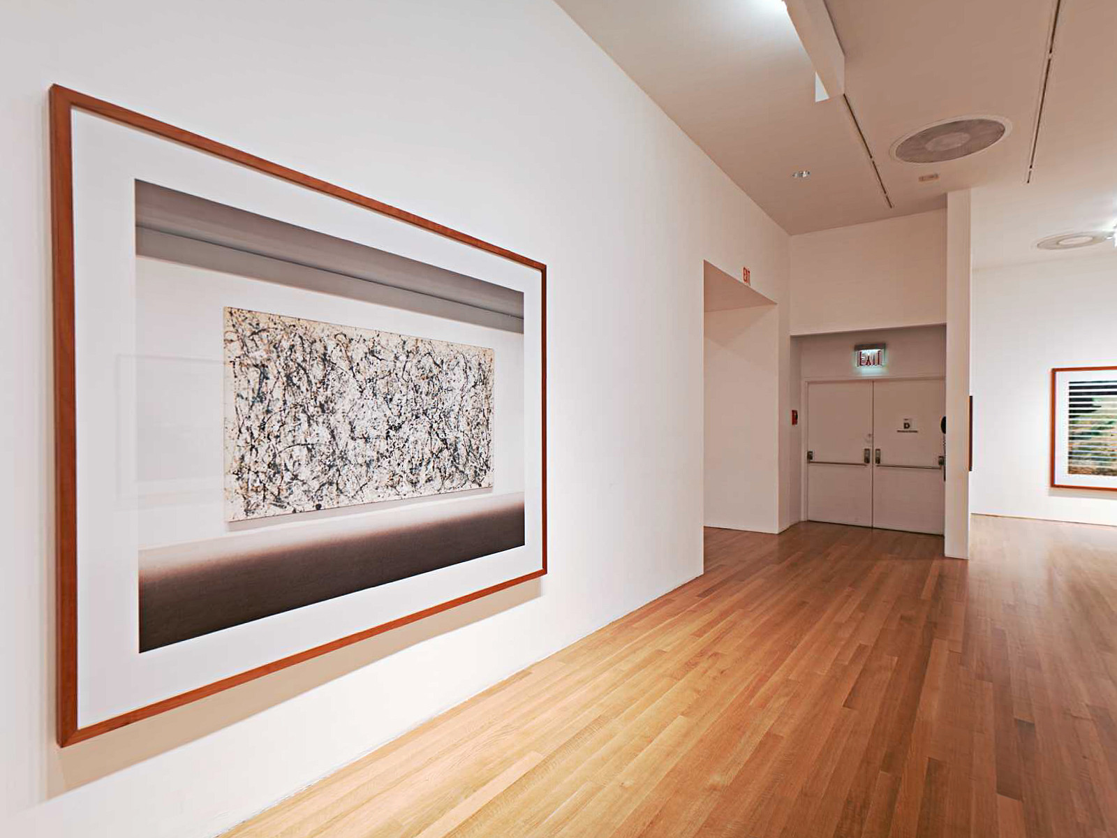 Installation view of the exhibition 