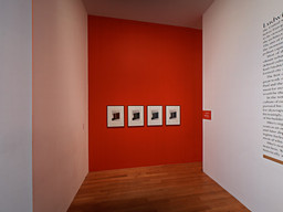 Installation photo, 4 of 151