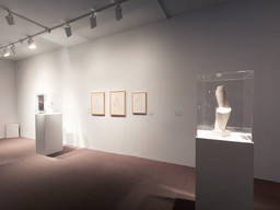 Installation photo, 8 of 147