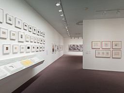 Installation photo, 9 of 43