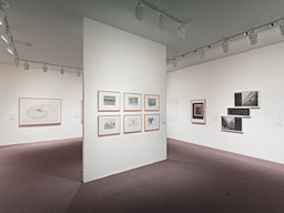 Installation photo, 14 of 43
