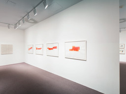 Installation photo, 19 of 43