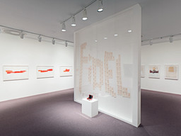 Installation photo, 25 of 43