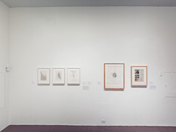 Installation photo, 33 of 43
