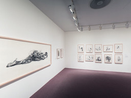 Installation photo, 41 of 43