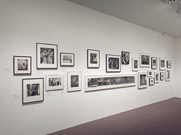 Installation photo, 3 of 25