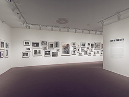 Installation photo, 4 of 25