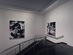 Installation photo, 59 of 147
