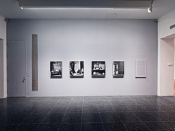 Installation photo, 61 of 147