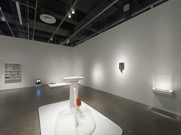 Installation photo, 10 of 45