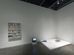 Installation photo, 14 of 45