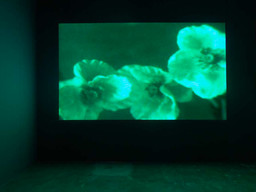 Installation photo, 24 of 45