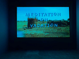 Installation photo, 25 of 45