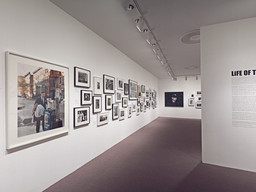 Installation photo, 7 of 25